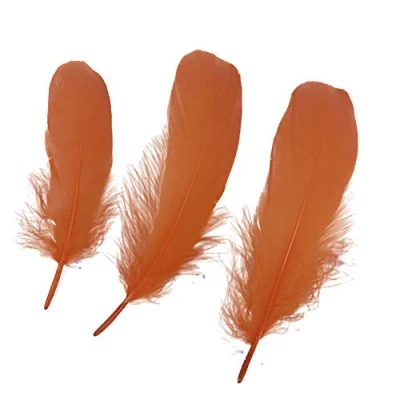 Image of Sowder Natural Goose Feathers Clothing Accessories Pack of 100(dark green)