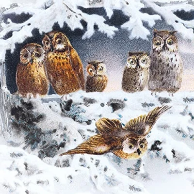 Image of Museums and Galleries Charity Christmas Cards Pack of 8 2024 with Artistic Owls Design Eco Friendly Xmas Multipack Envelopes