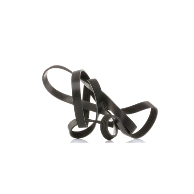 Image of 11282244179, 11282245848 V ribbed belt SKF VKMV 5PK1811 1811mm 5 HYUNDAI: ix35, i20 I Hatchback, i30 II KIA: Sportage III, RIO 2