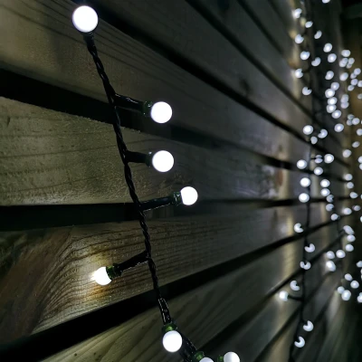 Image of 7.5m Frosted Berry Christmas Lights with 300 LEDs in White
