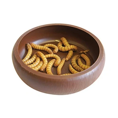 Image of Happy Pet Mealworm Dish