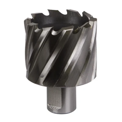 Image of Worksafe Rotabor Cutter HSS Ø46mm Cut Depth 25mm