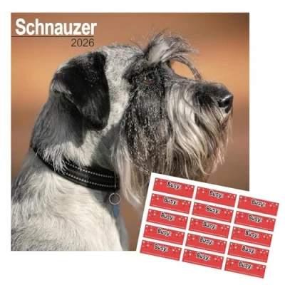 Image of Schnauzer Calendar 2025 16 months with FREE Organisational Stickers