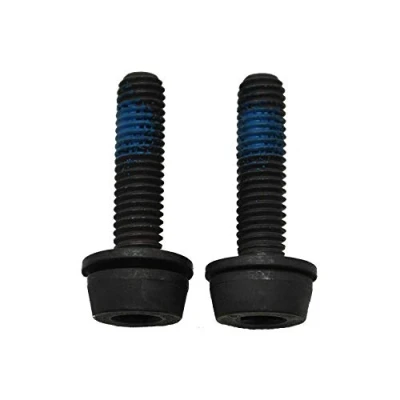 Image of Campagnolo Disc Adapter Screws, 29mm