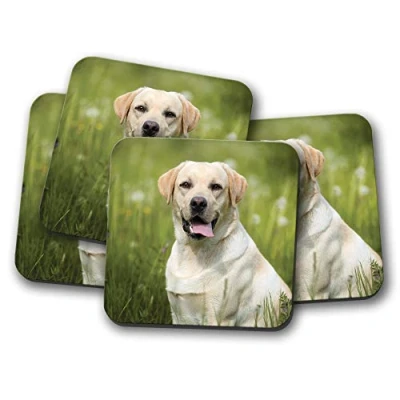 Image of 4 Set Yellow Labrador Coaster Golden Retriever Dog Puppy Puppies Gift #15037