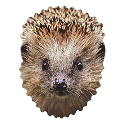 Image of STAR CUTOUTS Ltd Hedgehog Single Cardboard Face Mask l Animal l, Multicolour,Height: 27cm / 10.6 in Width: 20cm 7.8