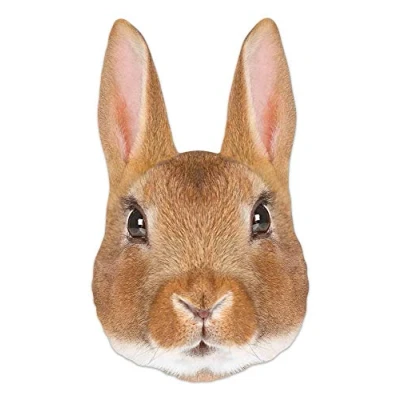 Image of Star Cutouts Ltd Rabbit Single Face Mask Cardboard l Animal