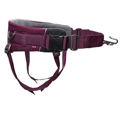 Image of Non stop dogwear Trekking Belt 2.0, Purple M