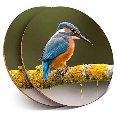 Image of 2 x Round Coasters Beautiful Kingfisher Bird Cork Backed Home Kitchen Accessory Tea Coffee Mug Mat #15668