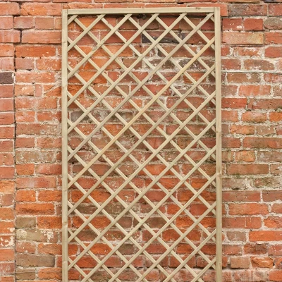 Image of Forest 6&#039; x 3&#039; Hidcote Decorative Diamond Wooden Lattice Trellis (1.8m 0.9m)