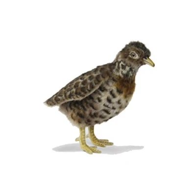 Image of Hansa 7477 Plains Wanderer Plush Soft Toy
