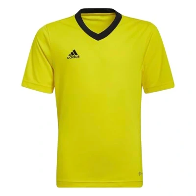 Image of adidas Unisex Kids Entrada 22 Jersey, Team Yellow/Black, 13 14 Years