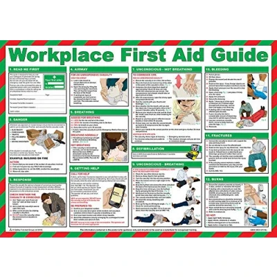 Image of PDL Pegdev First Aid Laminated Health &amp; Safety Poster Workplace Guide A2 Landscape Poster.