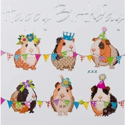 Image of Paperlink General Female Birthday Card for Women/Girls Guinea Pig Party with Silver Embossed Foil Eco Friendly &amp; Recyclable