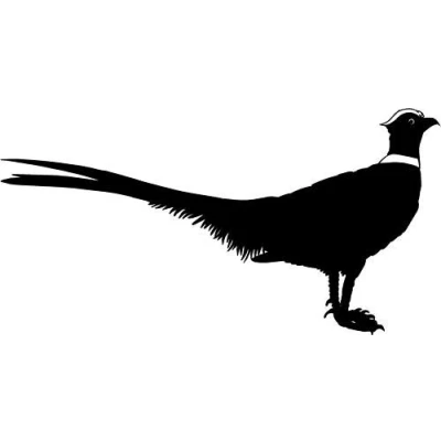 Image of LightningSigns Pheasant Car,Camper Van Window 4x4 Stickers Decals #2
