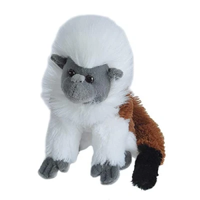 Image of Wild Republic Cotton Top Tamarin Plush, Stuffed Animal, Plush Toy, Gifts for Kids, Cuddlekins, 8 Inches