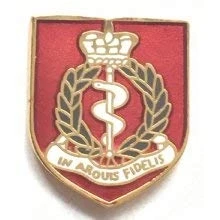 Image of R.A.M.C. Royal Army Medical Corps British Military Enamel Lapel Pin Badge