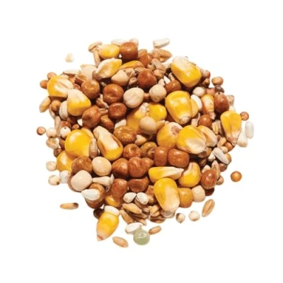 Image of Countrywide All Seasons Pigeon Feed Mix, 20 kg