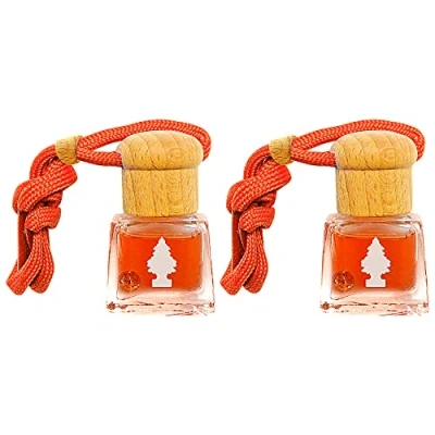 Image of Little Trees Air Freshener Bottle LTBZ3 Forest Fruit Fragrance For Car Home Boat Caravan Double Pack