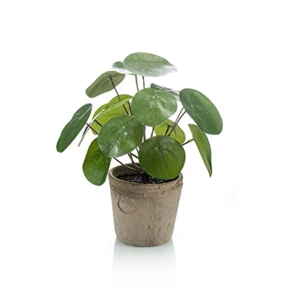 Image of artplants.de Fake Pilea peperomioides SYBIL in terracotta pot, green, 8&quot;/20cm cactus/Artificial Chinese money plant