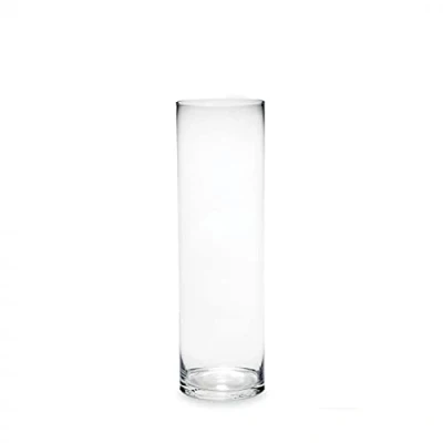 Image of Glass Cylinder Vase (23 cm high)