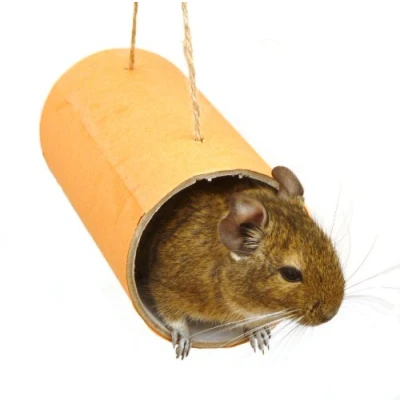 Image of Chewchewbs Totally Degu 4 pack (Orange)