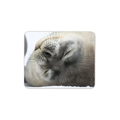 Image of Cute Grey Seal Pup Mouse Mat Pad Animal Kids Gift PC Computer #8244