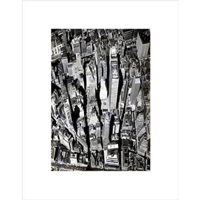 Image of Wee Blue Coo Black White Y Aerial View Manhattan City New York Wall Art Print