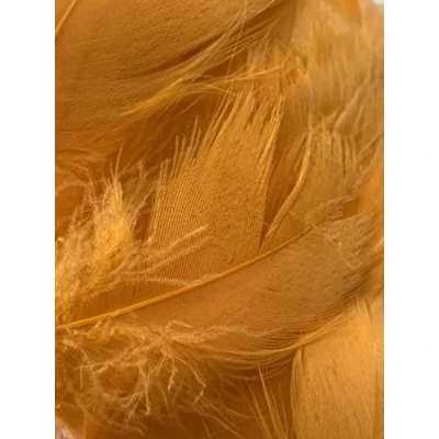 Image of Zebra Balloons Golden Orange Feathers, 100 Pack
