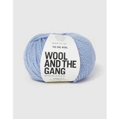 Image of Wool and The Gang, One Wool, Powder Blue, 100g, Chunky