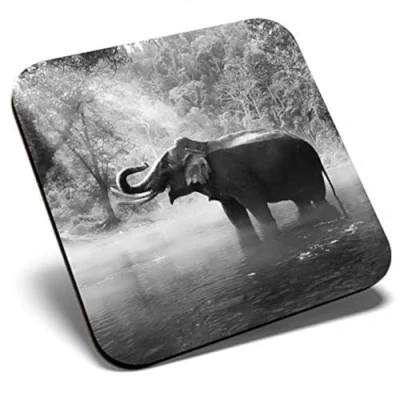 Image of Great Single Coaster Square BW Elephant Jungle Animal Forest Glossy Quality Coasters Tabletop Protection for Any Table Type #36428