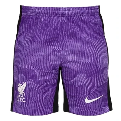 Image of Nike Liverpool FC Season 2023/2024 Official Third Stadium Men&#039;s Shorts XS