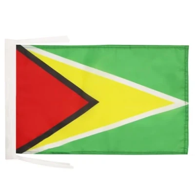 Image of AZ Flag Guyana 18&#039;&#039; x 12&#039;&#039; 100% Polyester Guyanese Small Banner with Two Cords Fade Resistant Vivid Colors 18x12 in 45x30 Cm