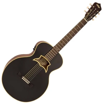 Image of VINTAGE RAVEN BY PAUL BRETT ELECTRO SATIN BLACK