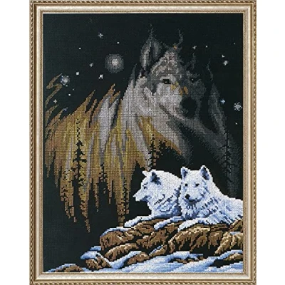 Image of Janlynn Northern Lights Counted Cross Stitch Kit, Cotton