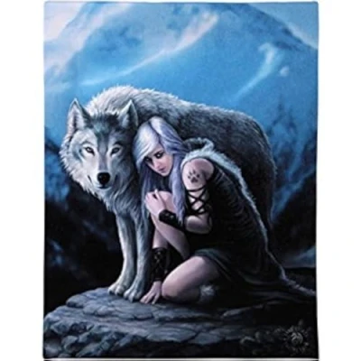Image of Anne Stokes Wall Canvas Plaque Protector Magic, multicoloured, 19.05 x 25.40 cms