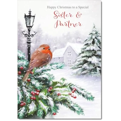 Image of doodlecards Sister and Partner Christmas Card Robin by Lamp Medium Size for &amp; with Plain Envelope