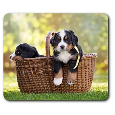 Image of Destination Vinyl ltd Bernese Mountain Puppy Dog Mouse Mat Pad Computer PC Laptop Gaming Office Home Desk Accessory Gadget 15777