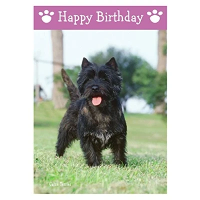 Image of Cairn Terrier, Dog Birthday Card