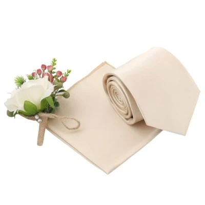 Image of DQT Plain Glossy Satin Polyester Wedding Classic Neck Tie and Pocket Square Set for Men in Champagne