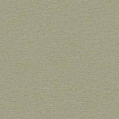 Image of Telma Sage Green Plain Textured Wallpaper Modern Contemporary Stylish Feature Wall Paste The Vinyl
