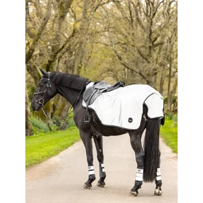 Image of LeMieux Reflective Exercise Sheet Large