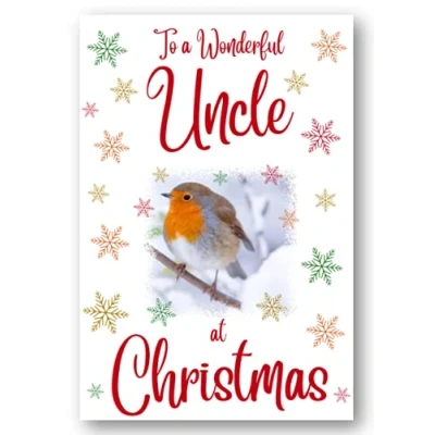 Image of Second Ave Uncle Christmas Robin Xmas Holiday Festive Greetings Card