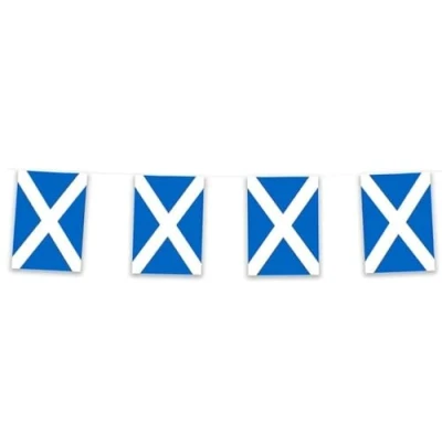 Image of Scotland Rectangle Bunting 10m with 20 Flags