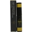 Image of Shu Uemura Yazbukey Magic Metallic Lip Liner 4.5ml Gold WOW