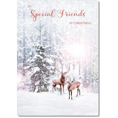 Image of doodlecards Special Friends Christmas Card Deers in Forest Medium Size for with Plain Envelope