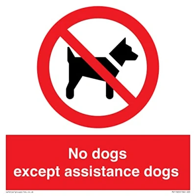 Image of No dogs except assistance Sign 200x200mm S20