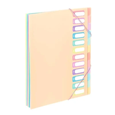 Image of Viquel A4 Document Folder with 12 compartments Rainbow Pastel