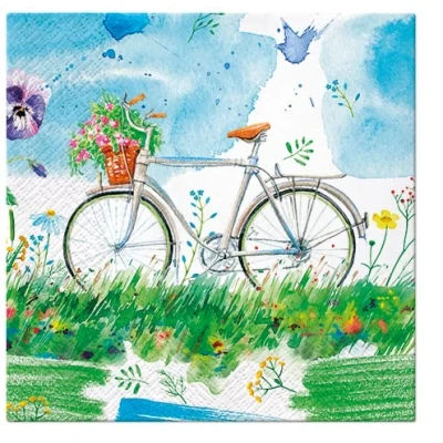Image of 20 Napkins Flower Bike on Meadow Bicycle Natural Spring Summer Children Table Decoration 33 x cm