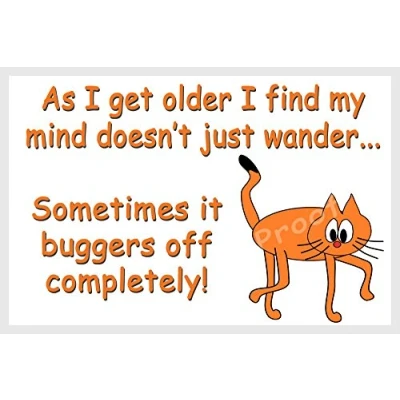 Image of Funny Cat Fridge Magnet Gift As I get older...